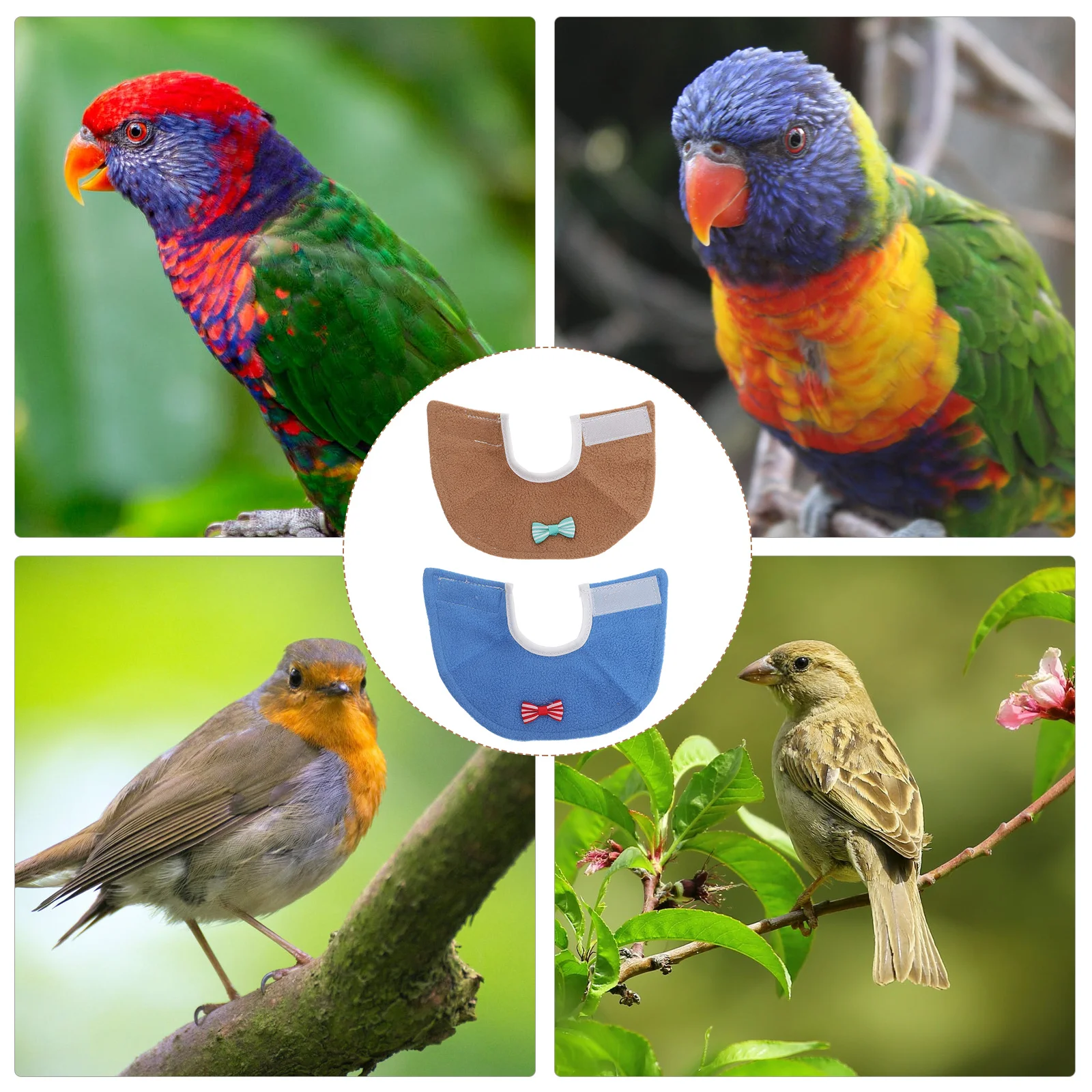 

2Pcs Bird Healing Collar Lightweight Anti-Licking Neck Ring for Parrots Post-Op Recovery Prevent Scratching Pet Bird Care