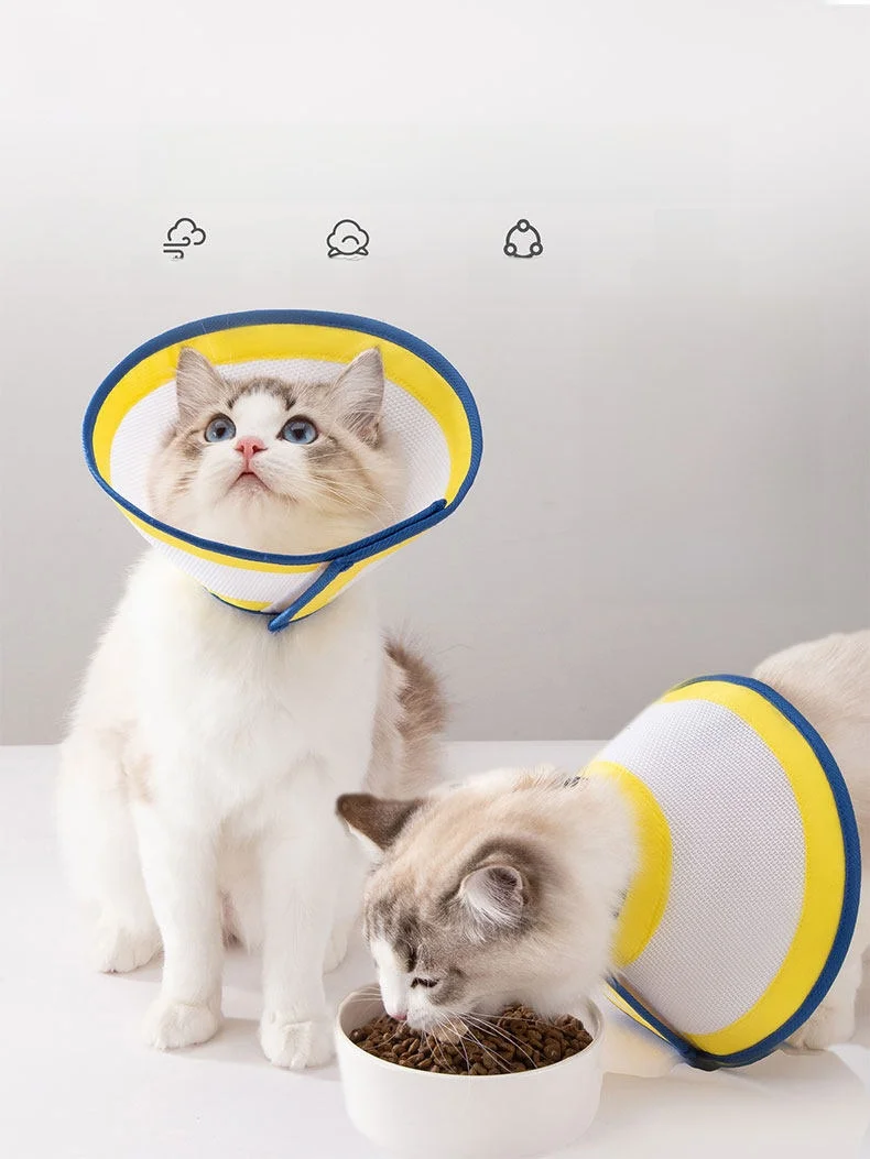 coleira-protetora-confortavel-para-gatos-esterilizados-ajuda-na-recuperacao-previne-lambidas-ideal-para-gatos-pos-cirurgia