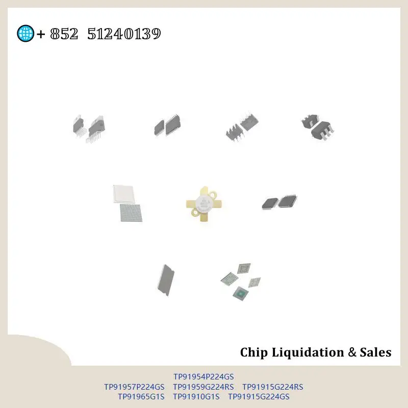 chip chip Integrated circuit chip MCU chip TP91954P224GS TP91957P224GS TP91959G224RS TP91915G224RS TP91965G1S TP91910G1S