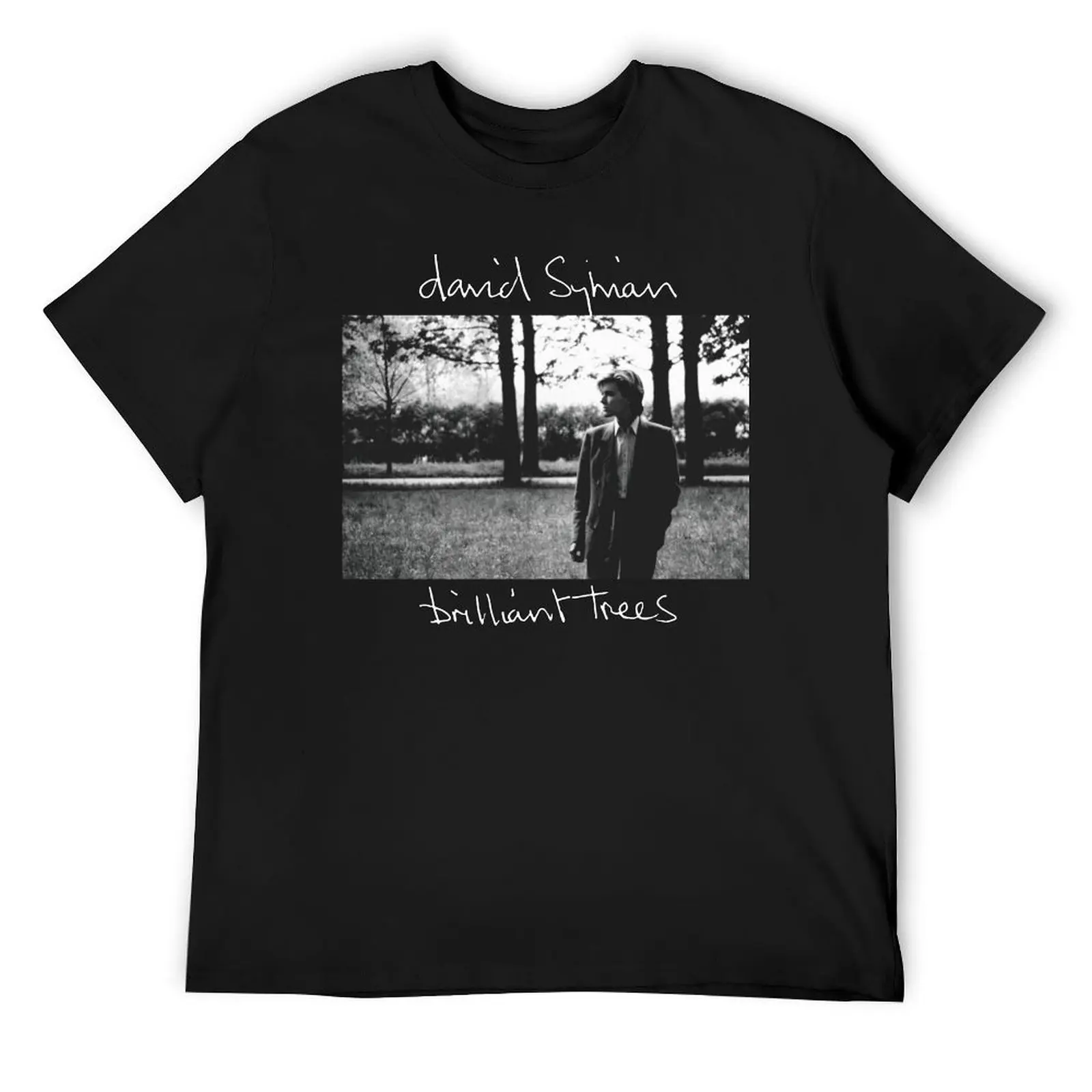 

DAVID SYLVIAN T-Shirt kawaii clothes plain heavyweights sports fans mens graphic t-shirts big and tall