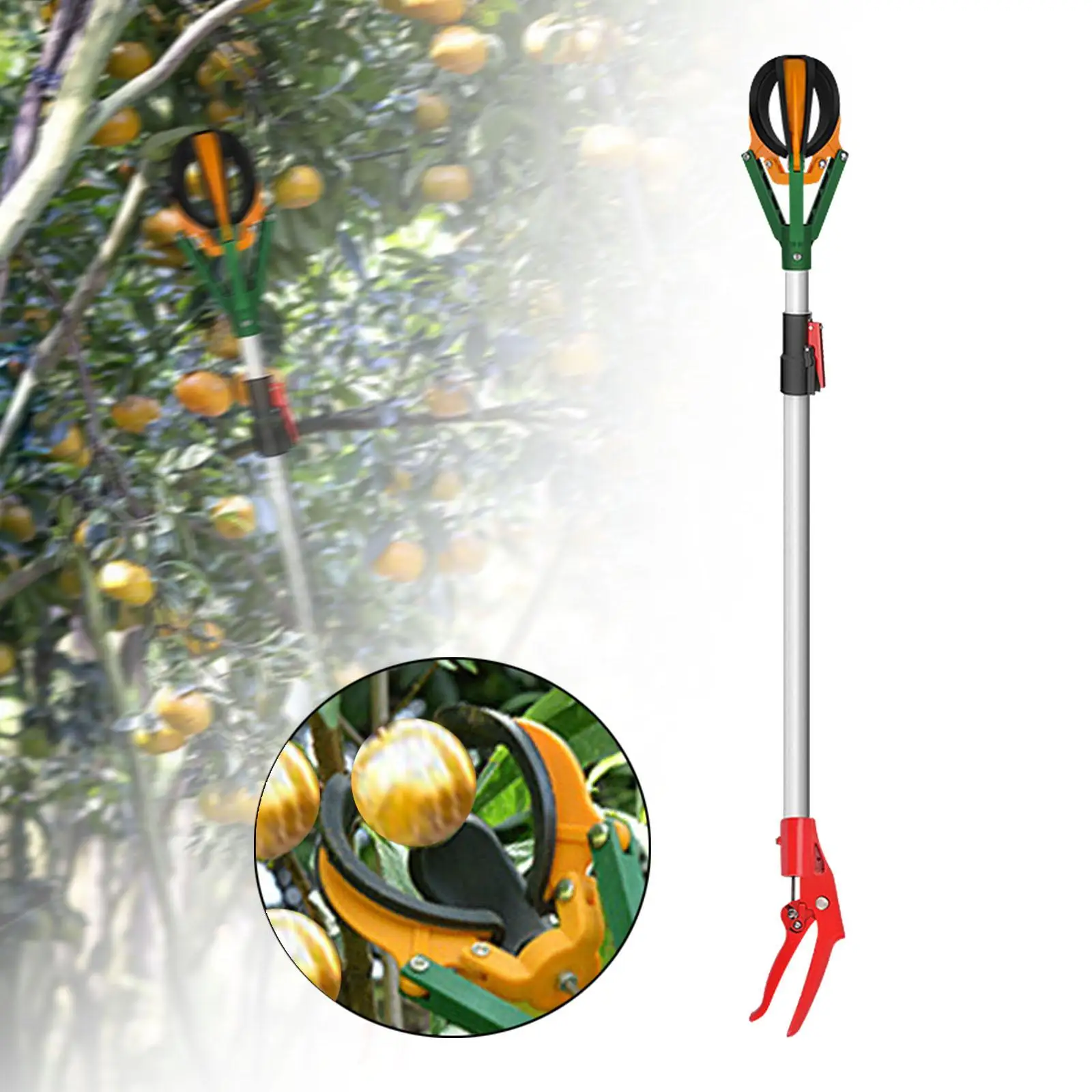 Fruit Picker Pole Extendable Multifunction Fruit Tree Harvester Fruits Picker Tool for Getting Fruits Guavas Mango Orange Pears