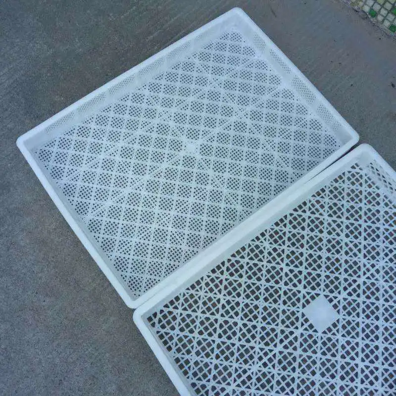 Plastic Baking Tray Freezer Tray Low Single Freezer 63045055 Ventilated Drying Basket Relay Box Storage Household Organizer