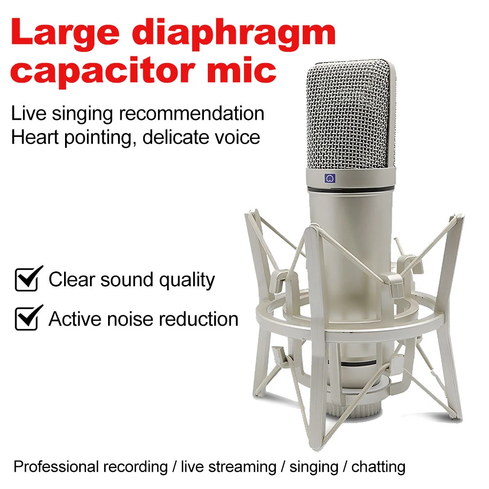 

Condenser Microphone for Studio Vocals Instruments Podcasting and Professional Recordings with Shockmount Audio Cable