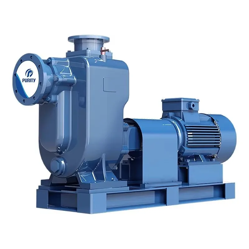Sewage Pump Electric Iron 2inch 7.5kw High Pressure No Clogging Self Priming