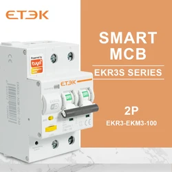 ETEC TUYA MCB With metering Smart Miniature Circuit Breaker AC Type Smart Life Remote control Timed 2P 3P EKR3S