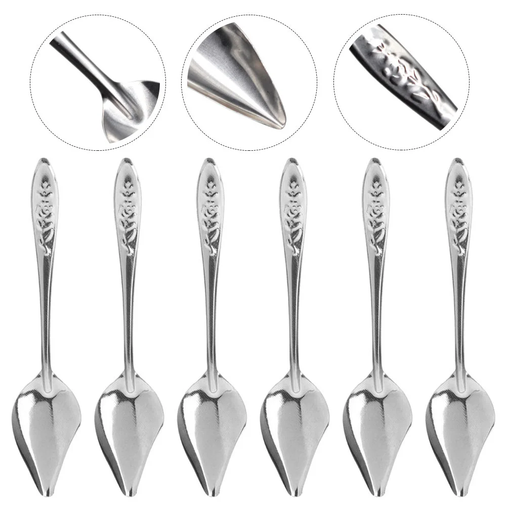 6 Pcs Stainless Steel Baby Bird Spoon Birdemic Spoons for Liquid Feeding Kit Pan Convenient Parrot Professional