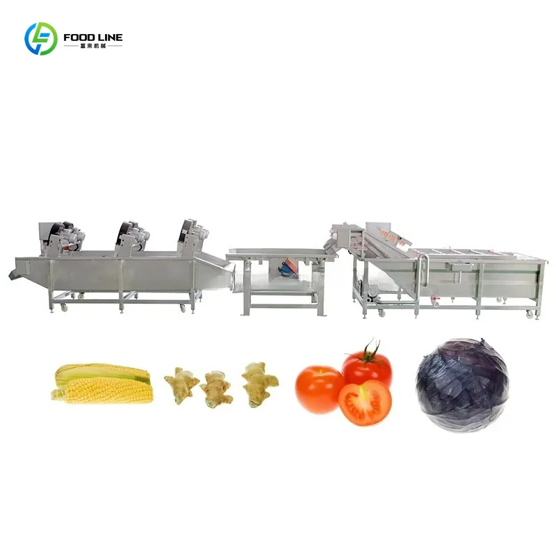 Customized Manufacturer Commercial Fan Dehydration Machine Mango Strawberry Fruit Blow Dryer Equipment
