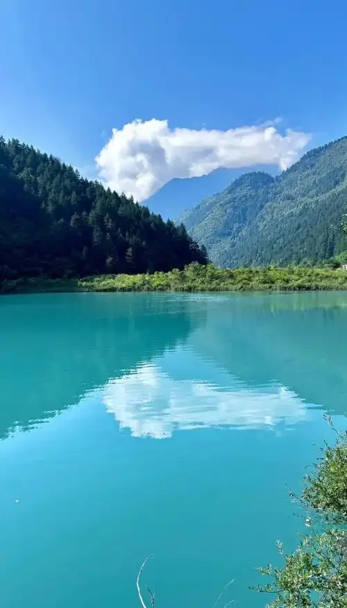 

Phono Preamp 3 Band Adjustment Record Player Turntable Amplifier Support MM MC Cartridges XLR Input Output Turntable Amplifier