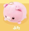 pig