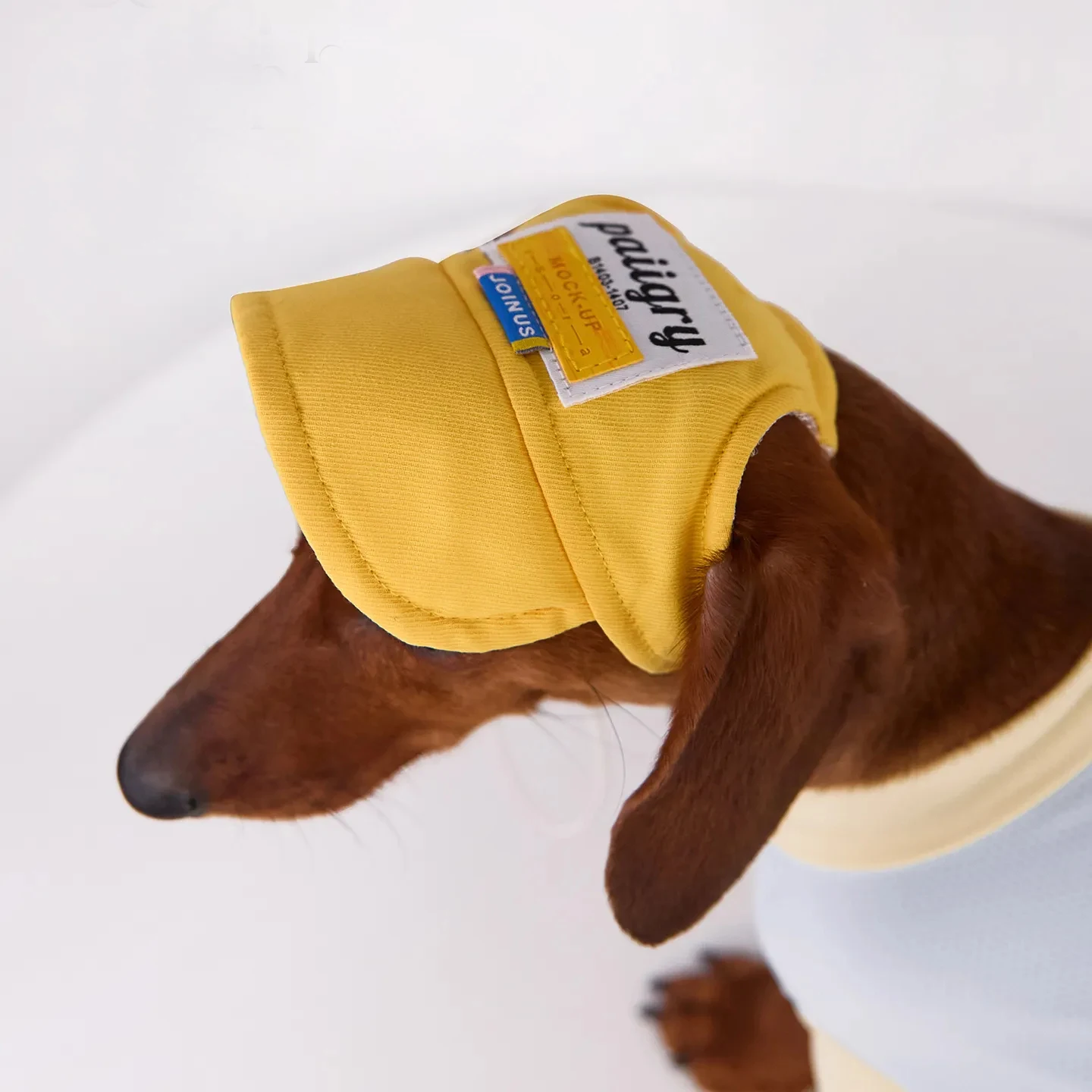 Sombrero verano protección solar perro salchicha ajustable velcro