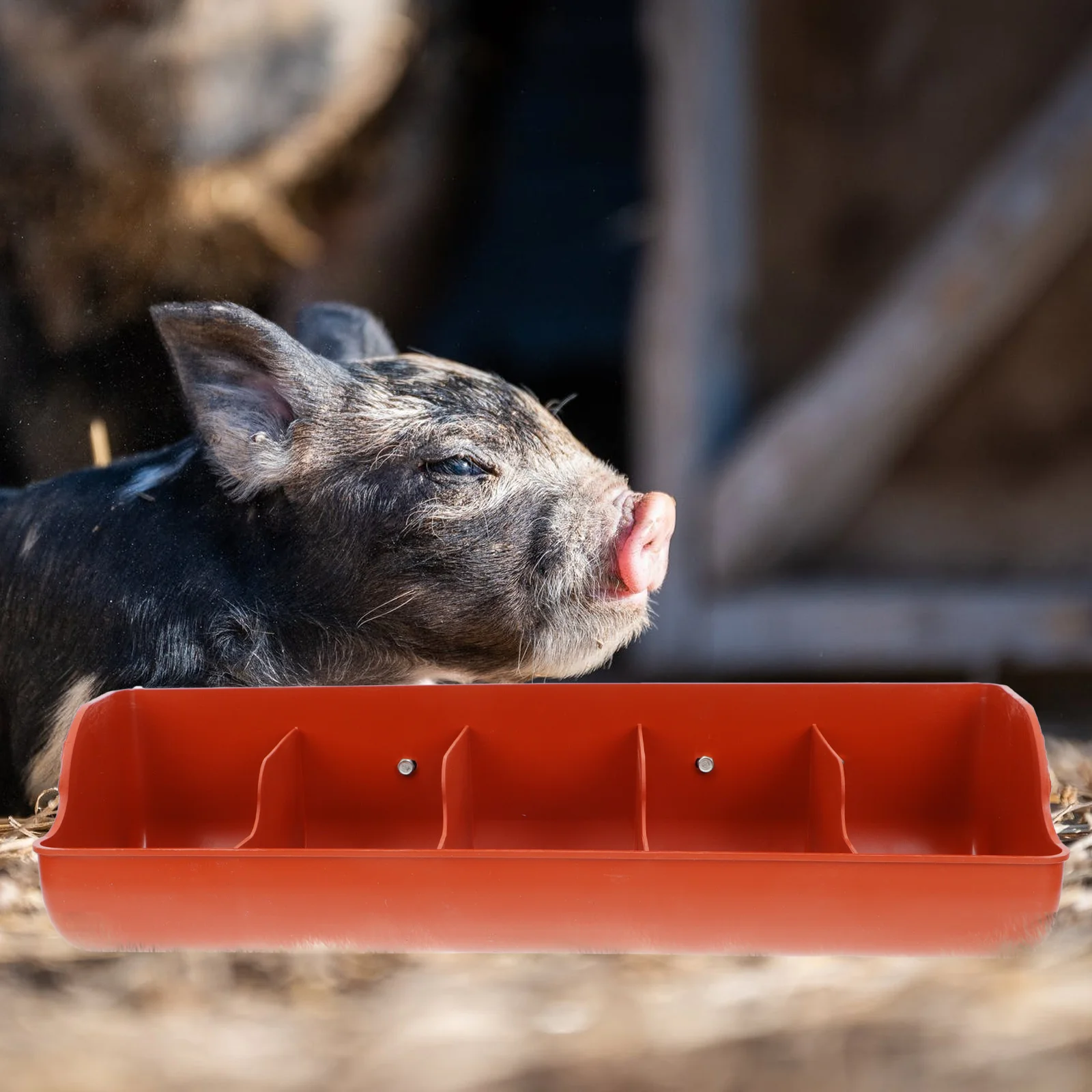 Accessories Pig Feed Trough Baby Chicken Feeder Livestock Feeding Tray Pp Plastic Groove