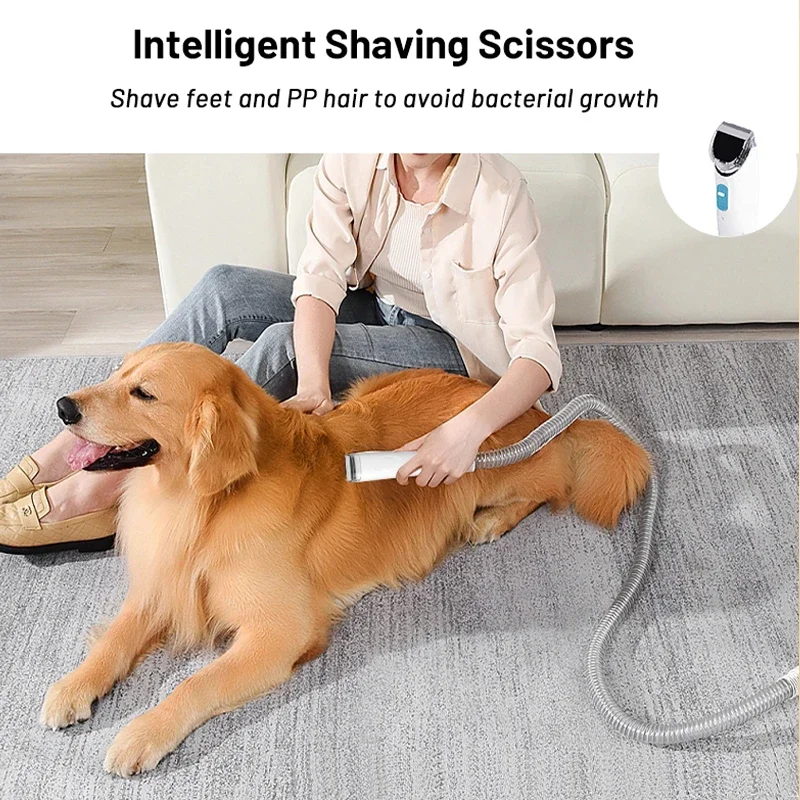 Factory Direct Cat Dog Feline Canine Grooming Blow Pet Hair Dryer Pet Grooming Vacuum Knotting Comb Electric Hair Clipper