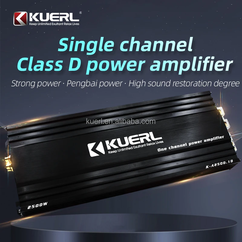 Hot New 12V 2500W High Power Class D Monoblock Digital Car Audio Amplifier Made of Aluminium Material Single Channel