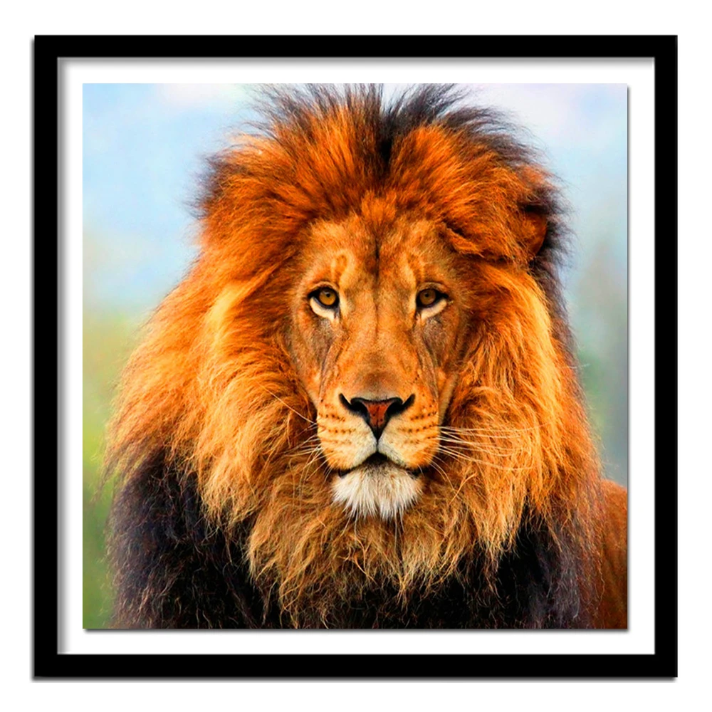 5D Diy diamond painting cross stitch s Full 100% cover embroidery animal lion diamond embroidery home decor