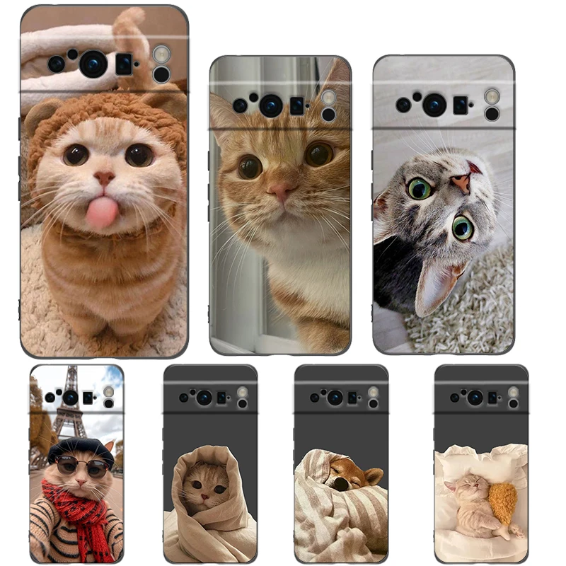 Cartoon Fun Cat Pet… - image