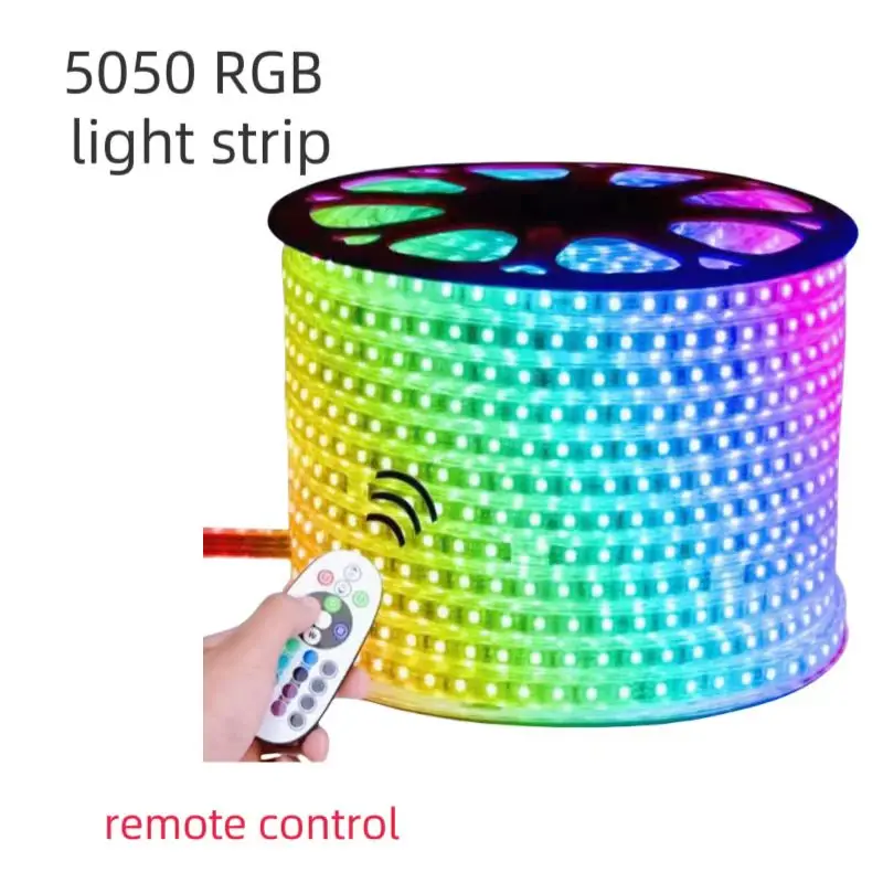 220V RGB LED Light Strip Waterproof Infrared 24-key Remote Control Adjustable Light EU Adapter For Object Outline Room Decor