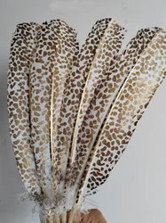 10Pcs/lot!25-30cm Gold Plating Turkey Round Quill feathers,Leopard Turkey Quills for Crafts Plume Headdress Accessories Holiday