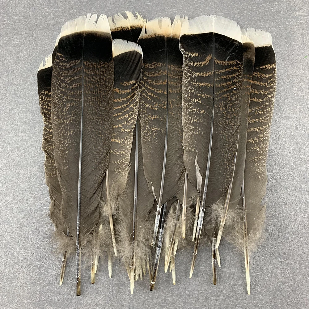 25-30cm Natural Turkey Tail Feathers for DIY Craft Feathers Handmade Decor Costume Accessories Premium Quality