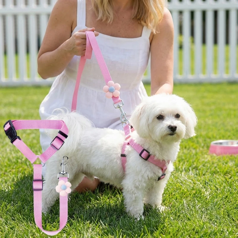 

Two-in-one Pet Car Seat Belt Nylon Lead Leash Backseat Safety Belt Adjustable Dogs Harness Collar Car Headrest Restraint