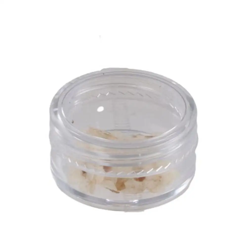 DIY Natural Jewelry Candle Making Don't Forget Me Forget-Me-Not Dried Flowers Pressed Flower