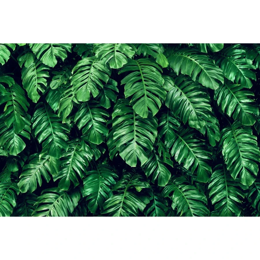 MOON.QG зеленые листья трава настенный фон тропический лист свадьба день рождения декор фото фон летняя вечеринка реквизит для фотосъемки