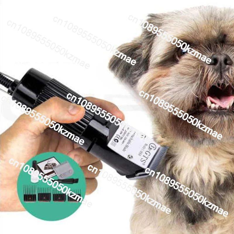 Machine à raser les animaux électrique 30W, adaptée au coiffeur d'animaux