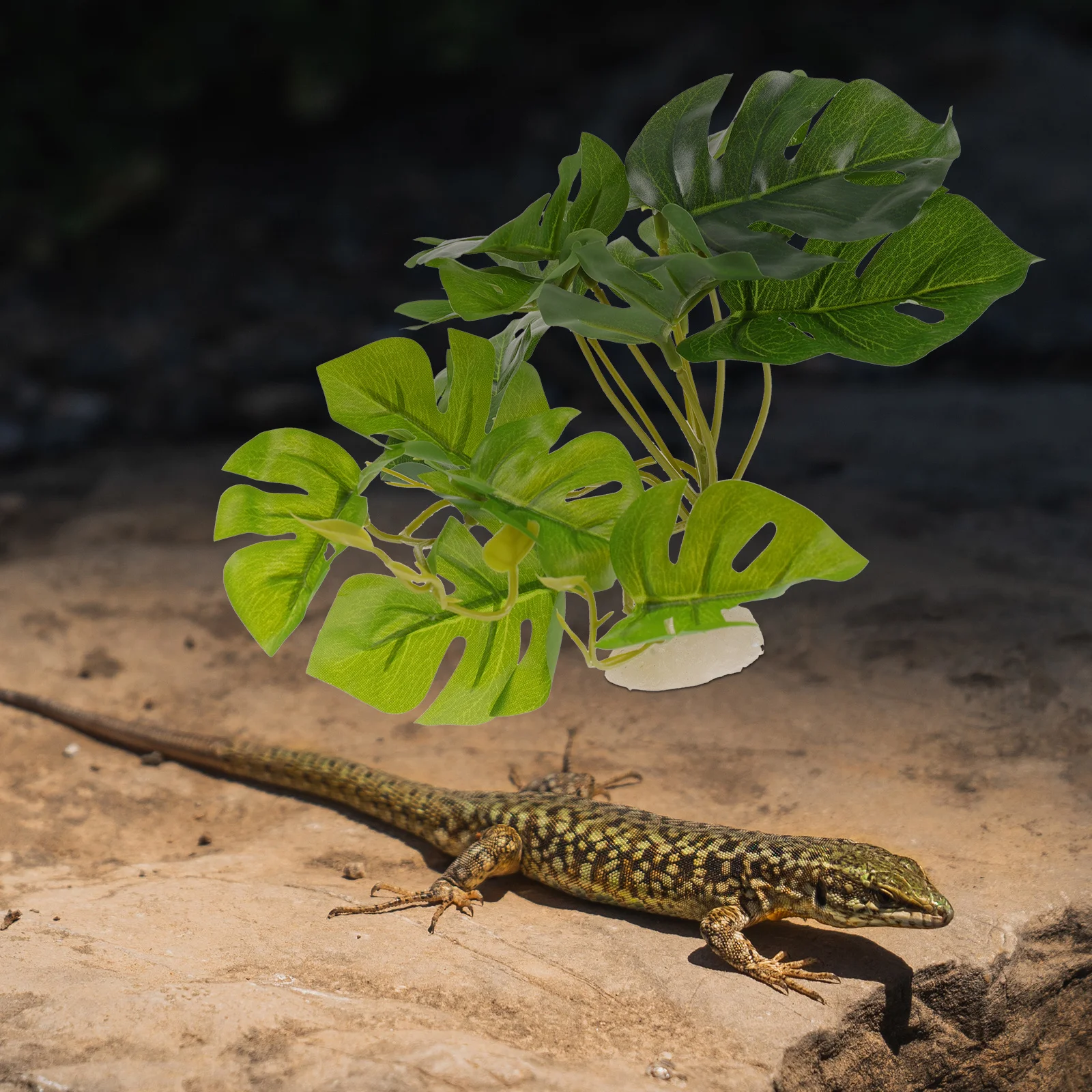 

Reptile Plants Resin Terrarium Plant Lifelike Simulation Decorative Aquarium Landscaping Ornament Realistic Safe Durable Easy
