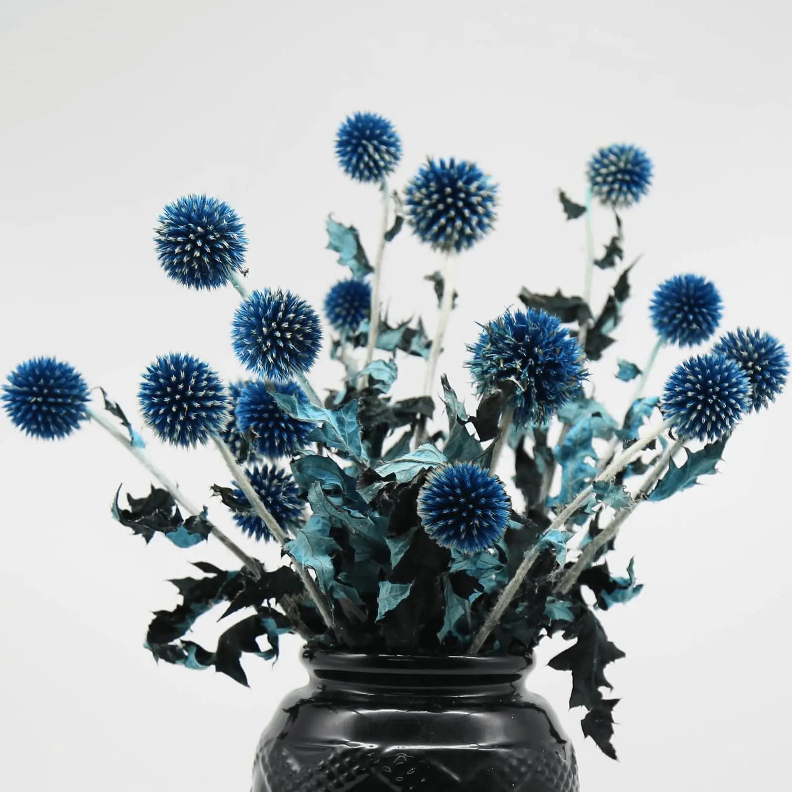 

20+ Balls Dried Blue Thistle Flowers Bouquet Preserved Echinops Globe Flower for Wedding,Boho Home Decor,DIY Floral Arrangements