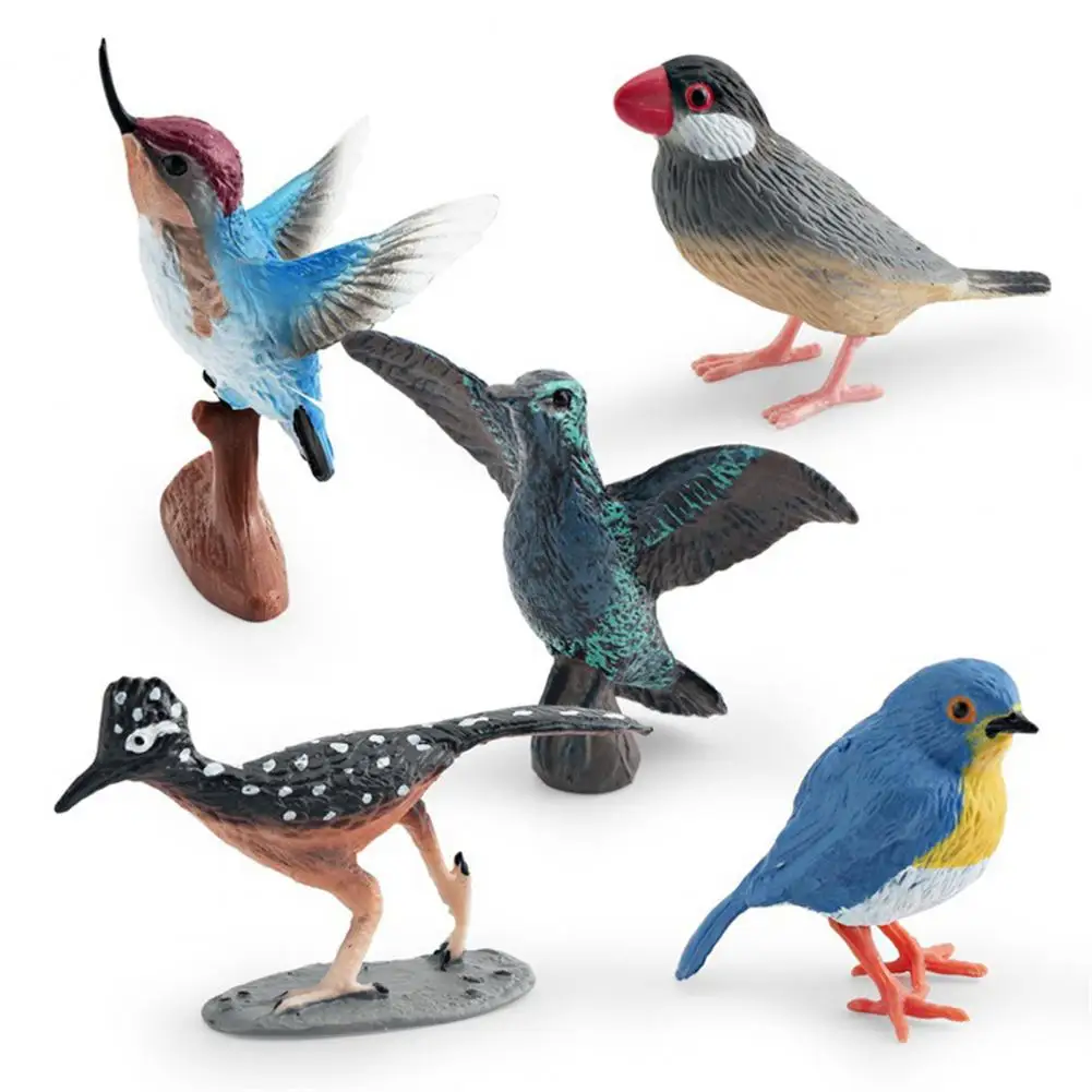 Bird Cake Decor Realistic Bird Figurine Set Roadrunner Hummingbird Robin Models Miniature Figures for Kids' Education Flying