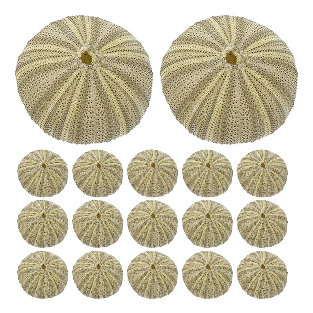 

18Pcs Sea Urchin Shells Decorative Craft Kit Natural Vase Filler for DIY Home Wedding Landscape Design Sea Urchin Shells Crafts