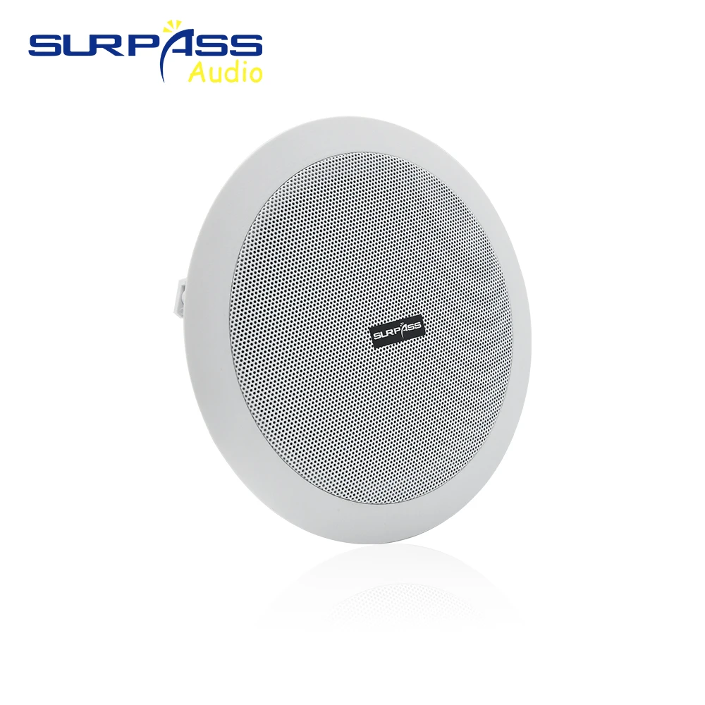 30W Class D Amplifier Wall Mount Speaker Surround Sound Living Room Active WIFI BT in Ceiling Speakers