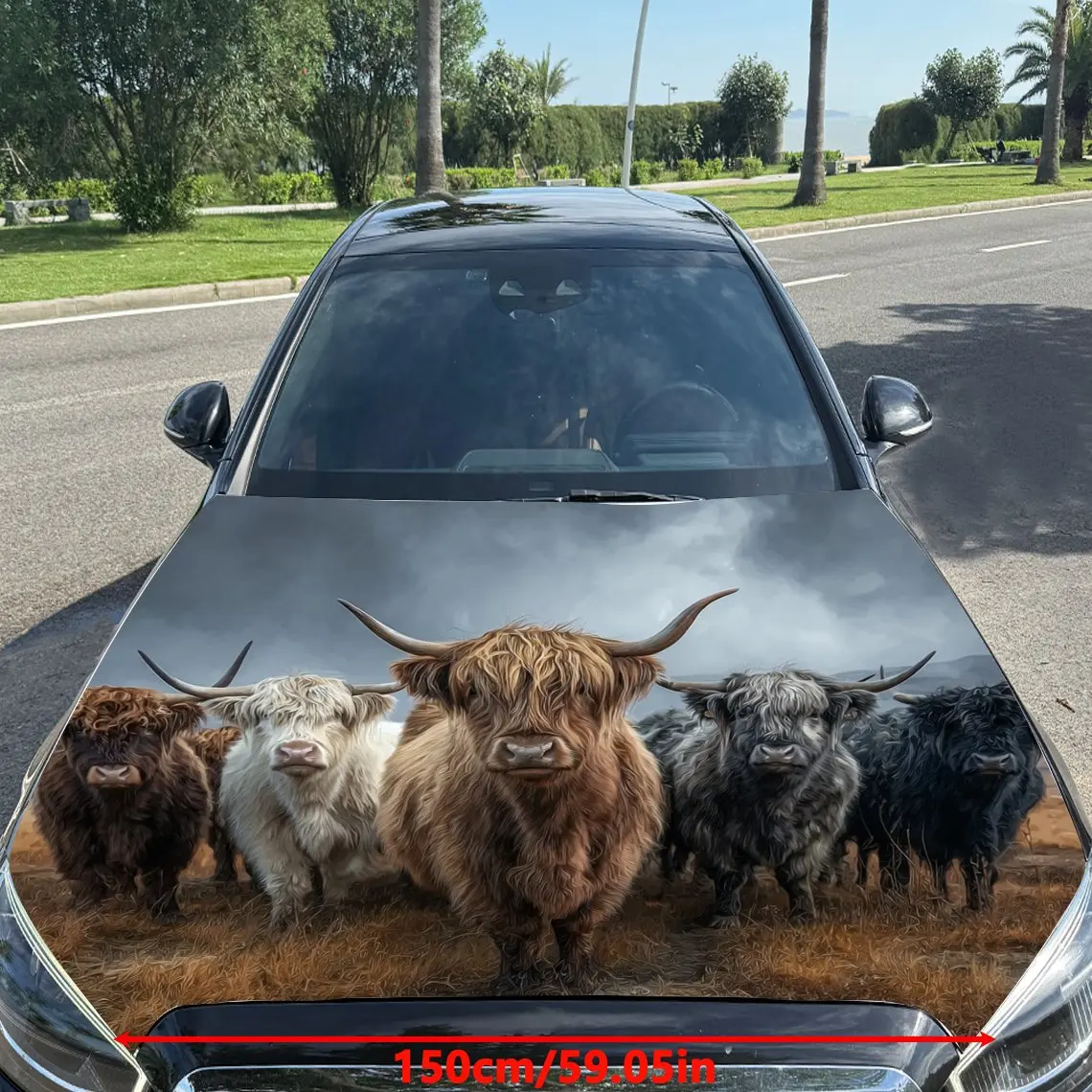 Highland Cattle Car Hood Sticker-waterproof And Scratch Resistant PVC Car Sticker, Suitable For Cars, Trucks, And SUVs-easy To I