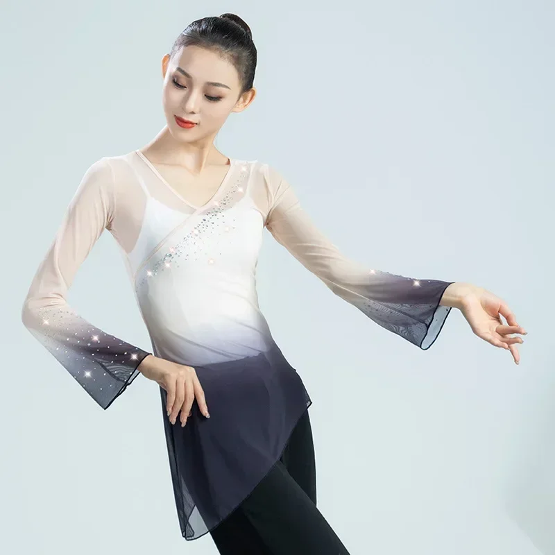 Classical dance gradual change gauze body rhyme long sleeve performance clothes Chinese dance