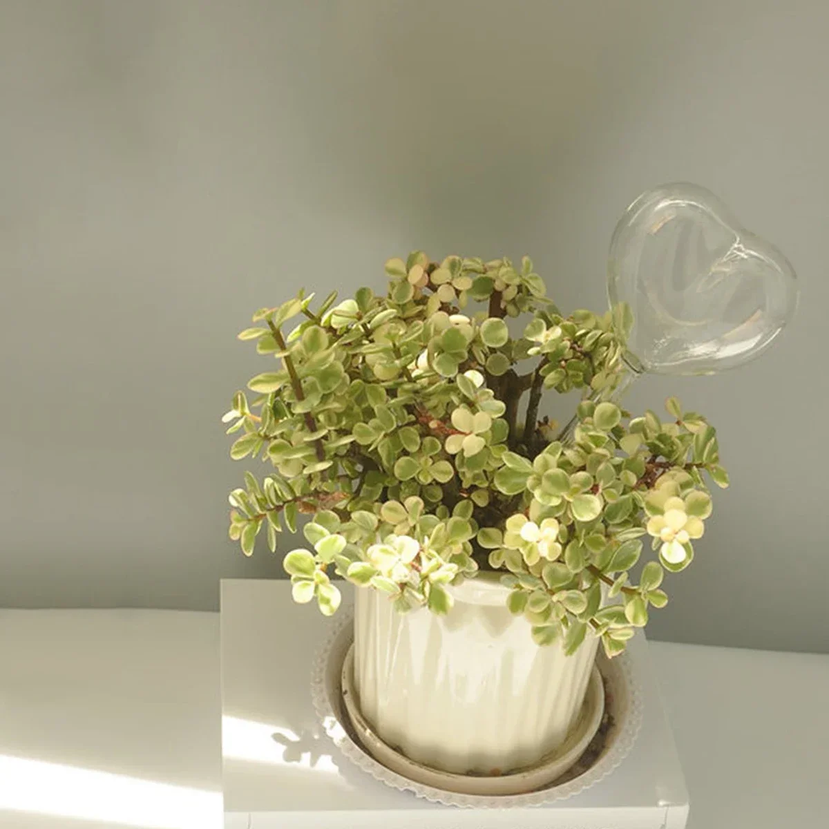 1pc Automatische Pflanzen Bewässerung Glühbirnen Selbst Bewässerung Vogel Form Wasser Gerät Tropf Bewässerung System für Haus Garten Blume pflanzen