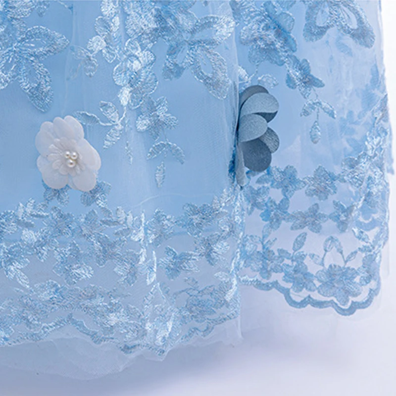 Children's Day Cinderella Cosplay Costume Embroidery Lace Party Dresses For Girls Elegant Dresses Butterfly Blue Wedding Dress view 6