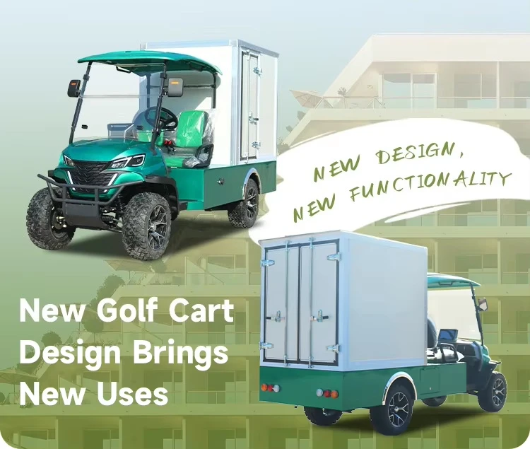 lsv 2-Seater Electric Golf Cart with Cargo Box for Housekeeping & Buggy Use