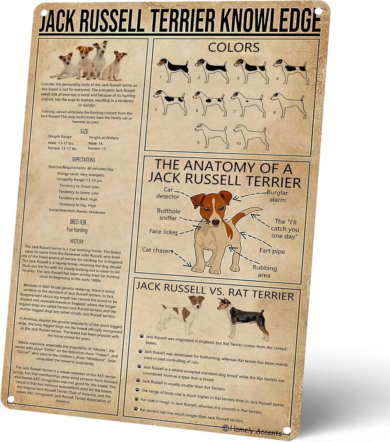 Homely Accents Poster métallique rustique Jack Russell Terrier, Plaque murale vintage en étain avec motif de chien, pour ferme, niche ou maison