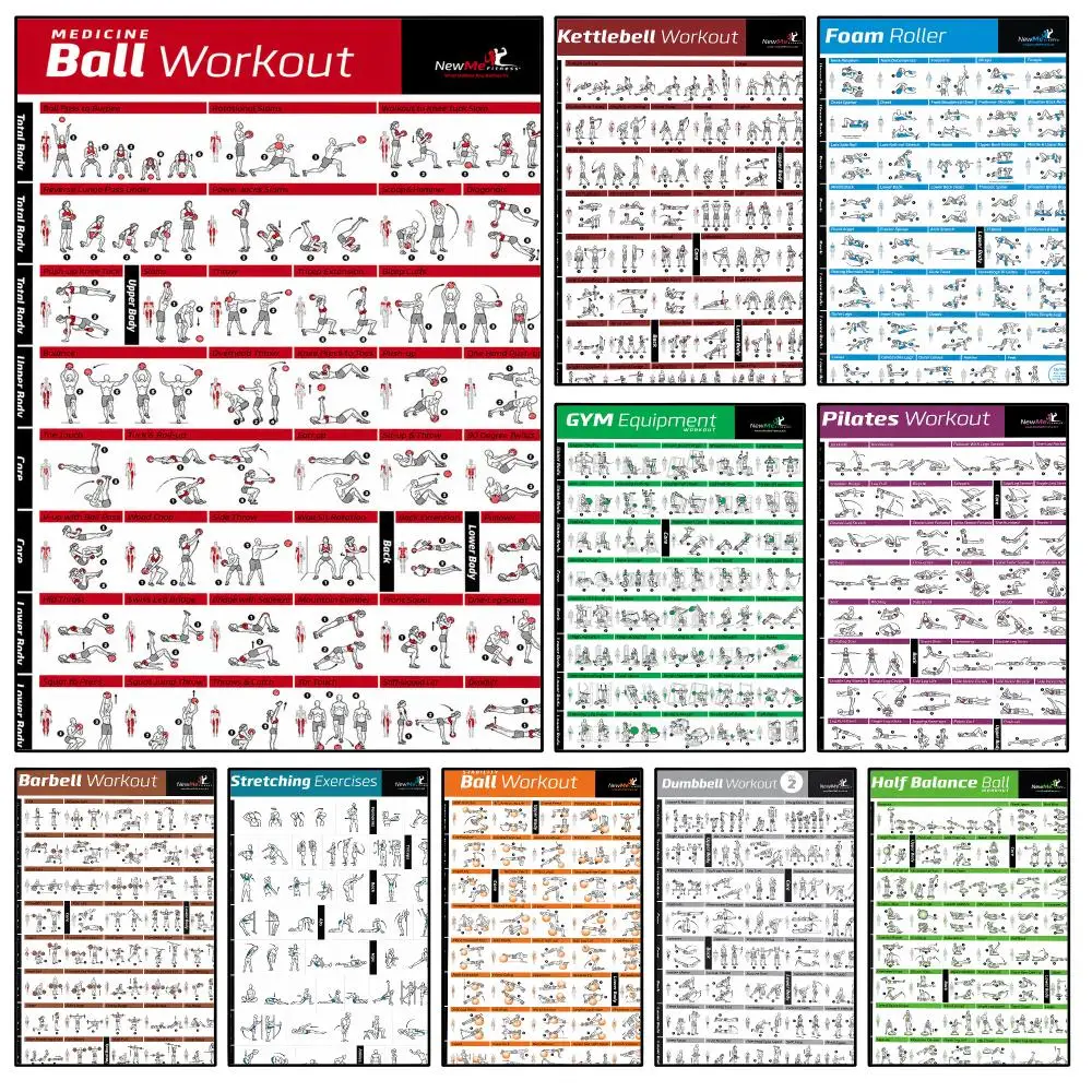 Fitness Workout Exercise Muscle Anatomy Poster Waterproof HD Modern Peel And Stick Wall Decor Bedroom Living Room Dorm Office
