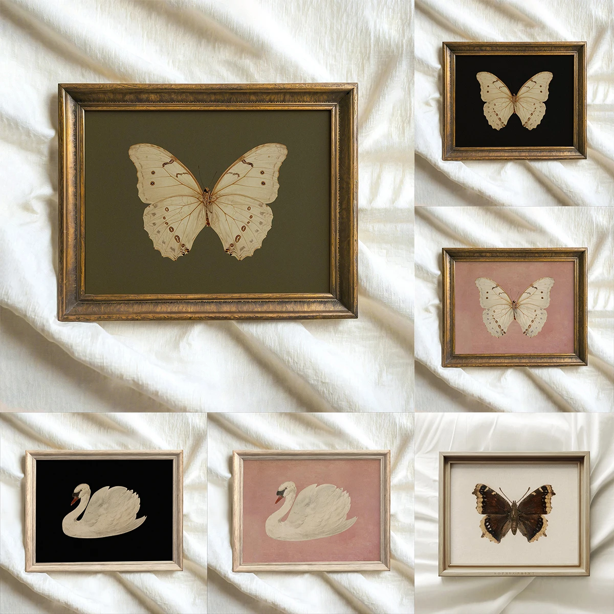 2026 White Butterfly White Swan Animal Canvas Print Dark Moody Insect Antique Moth Wall Art Poster for Modern Living Room Home 