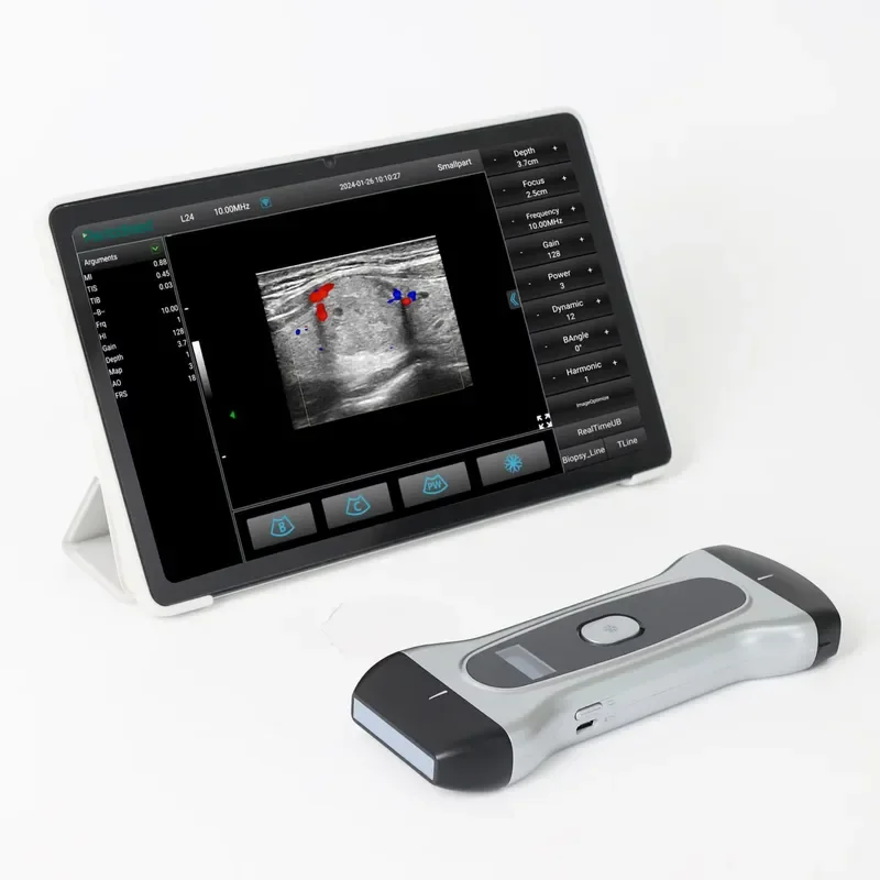Portable Handheld Wireless Diagnostic System Monitoring Devices