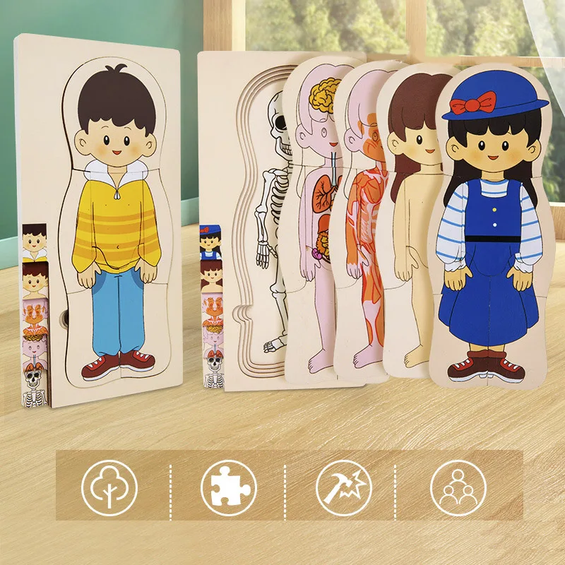 

Деревянная многослойная головоломка Монтессори, структура человеческого тела, игра-головоломка для мальчиков и девочек, ранние развивающие игрушки для детей