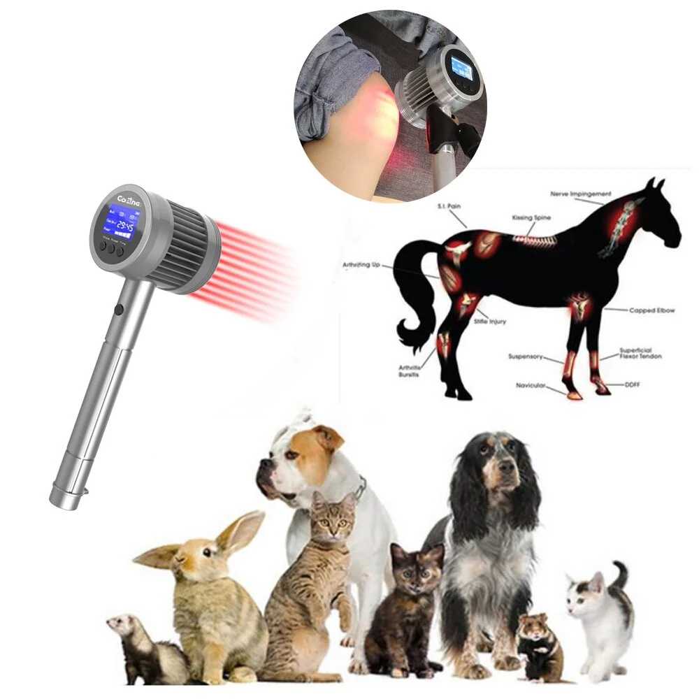 Animals Physiotherapy Laser Machine Relieve Muscle Pain And Treat Tendon Injury Massager For Race Horse Use