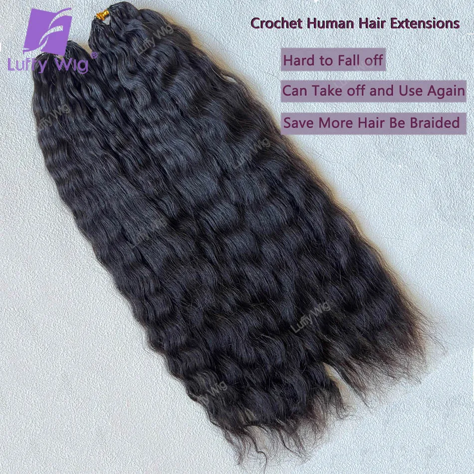 Wet and Wavy Feather Human Hair Braids Extensions for Boho Braiding Pre Separated Burmese Remy Crochet Human Hair Bundles Luffy