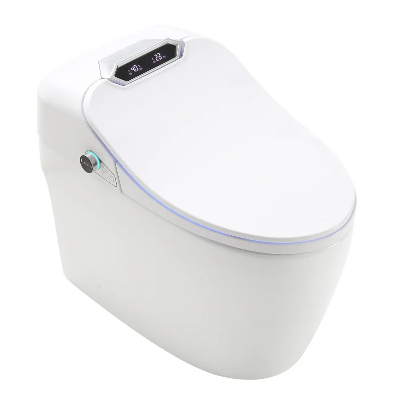 

Интеллектуальный унитаз на заказ, 110 В, умный интеллектуальный унитаз Upc Toilet
