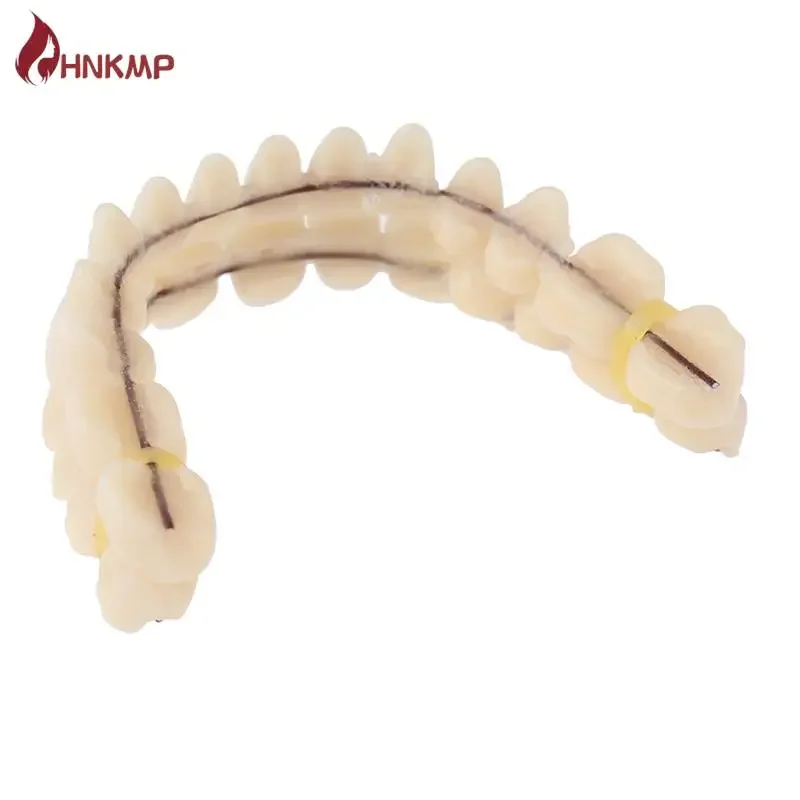 1PC Universal Resi False Teeth Resin Model Durable Dentures Dental Material Teeth Teaching Model Dedicated Teeth