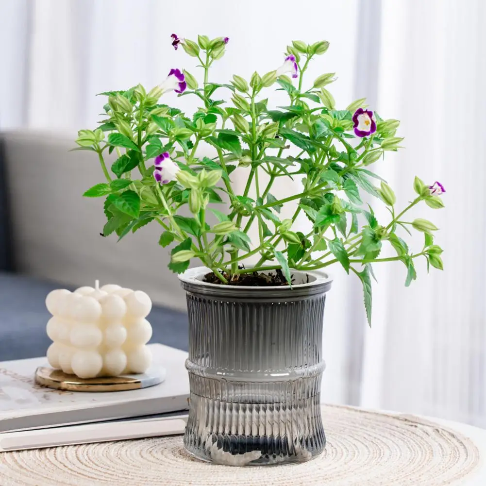 Self Watering Planter Flowerpot with Reservoir Drainage Holes Transparent Bamboo Design Plant Pot for African Violets Succulents