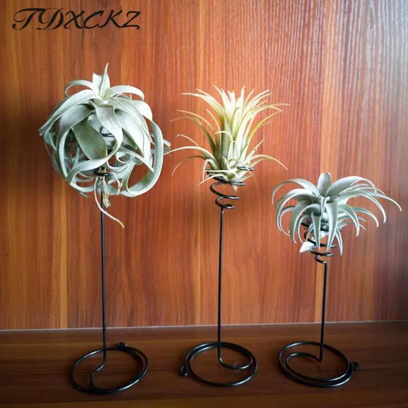 Air Plants Container Air Plant Holder Iron Flower Stand Tillandsia Holder For Displaying Home Office Desktop Decoration 3 Sizes