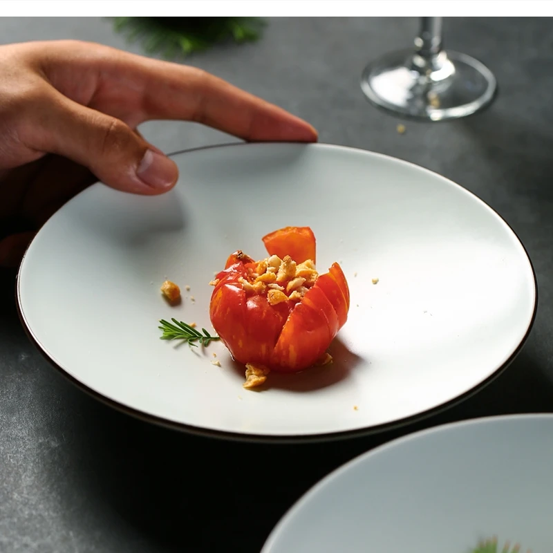 

ceramic dinner commercial stroke hotel tableware large