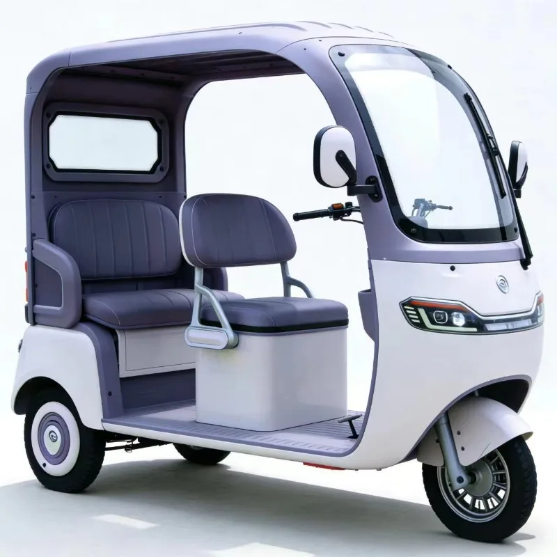 600w 800w 1000w Electric Tricycle Adult Home Scooter Leisure Small Electric Tricycle Hill Climbing Pedal Electric Car