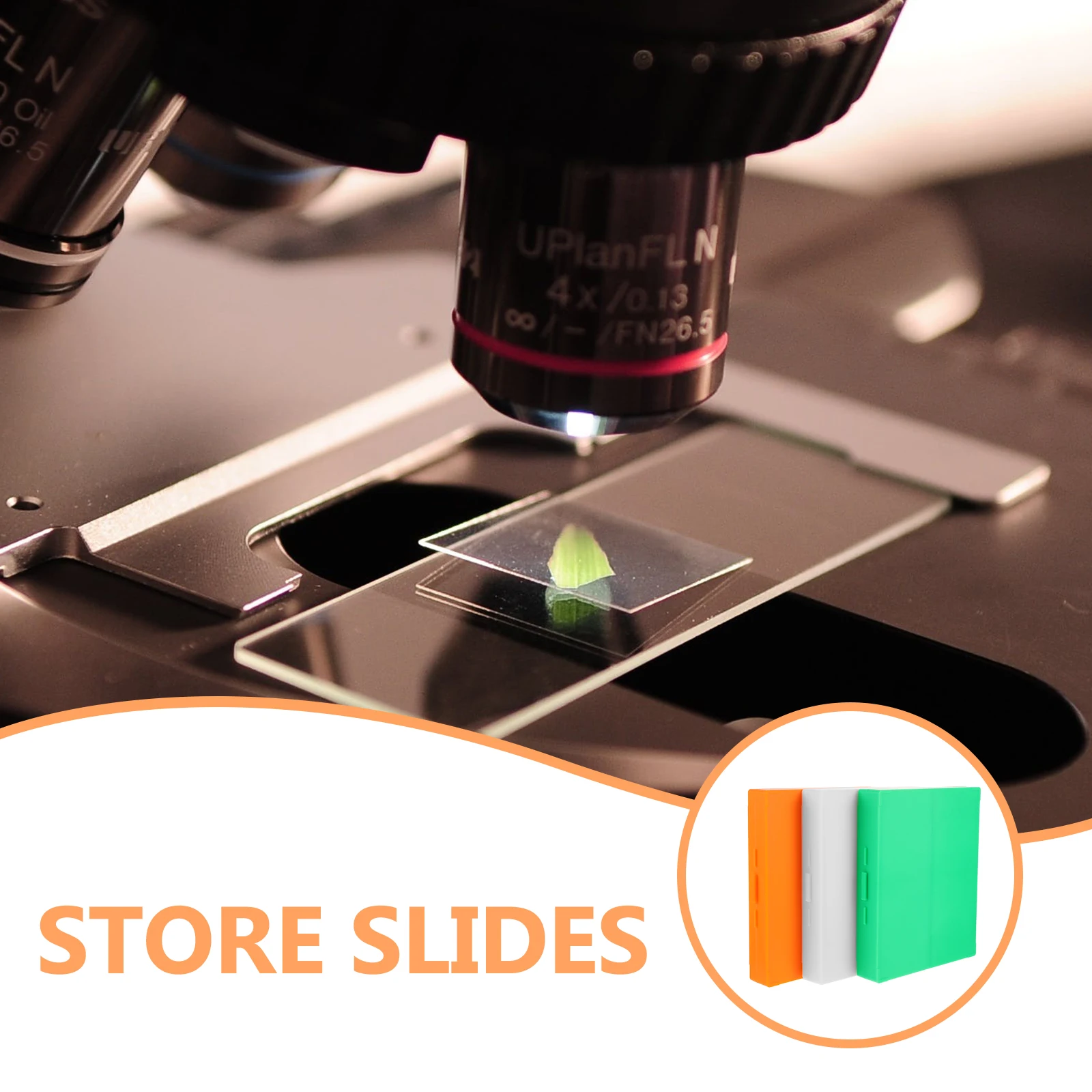 

3 Pcs Microscope Boxes Trays Storing Tool Slides Glass Holder Abs Case